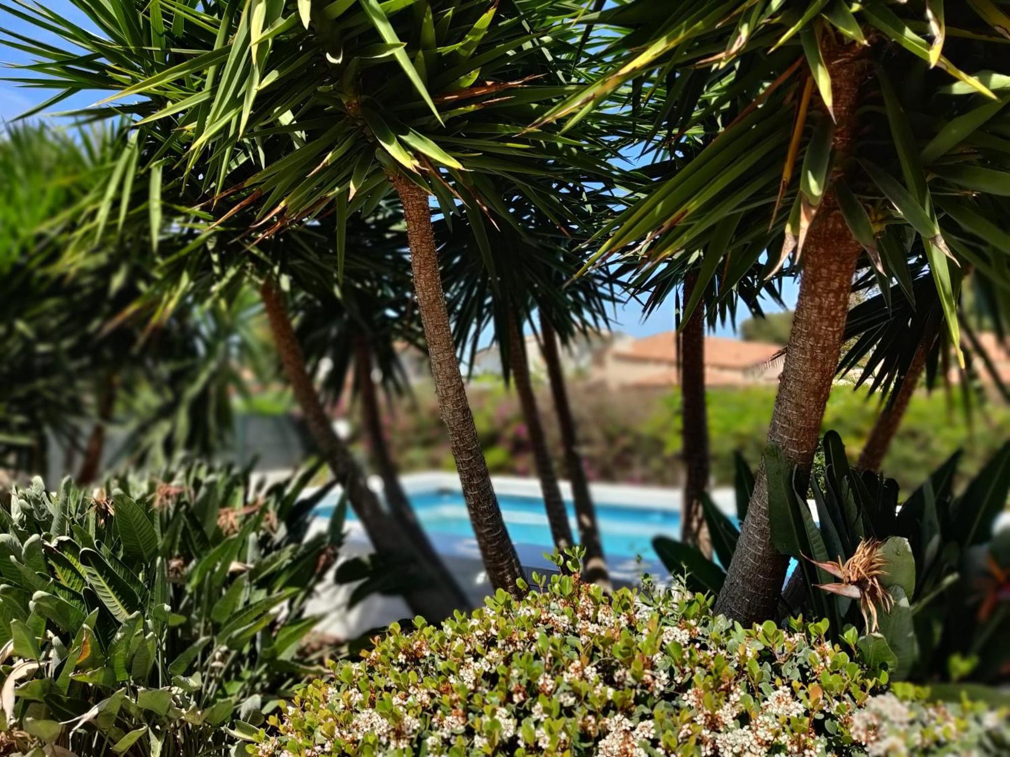 Pool Seaside Relais - Ville Ninfea, Marea, Rosa E Cassiopea ฟอนตาเน บีอานเก ภายนอก รูปภาพ